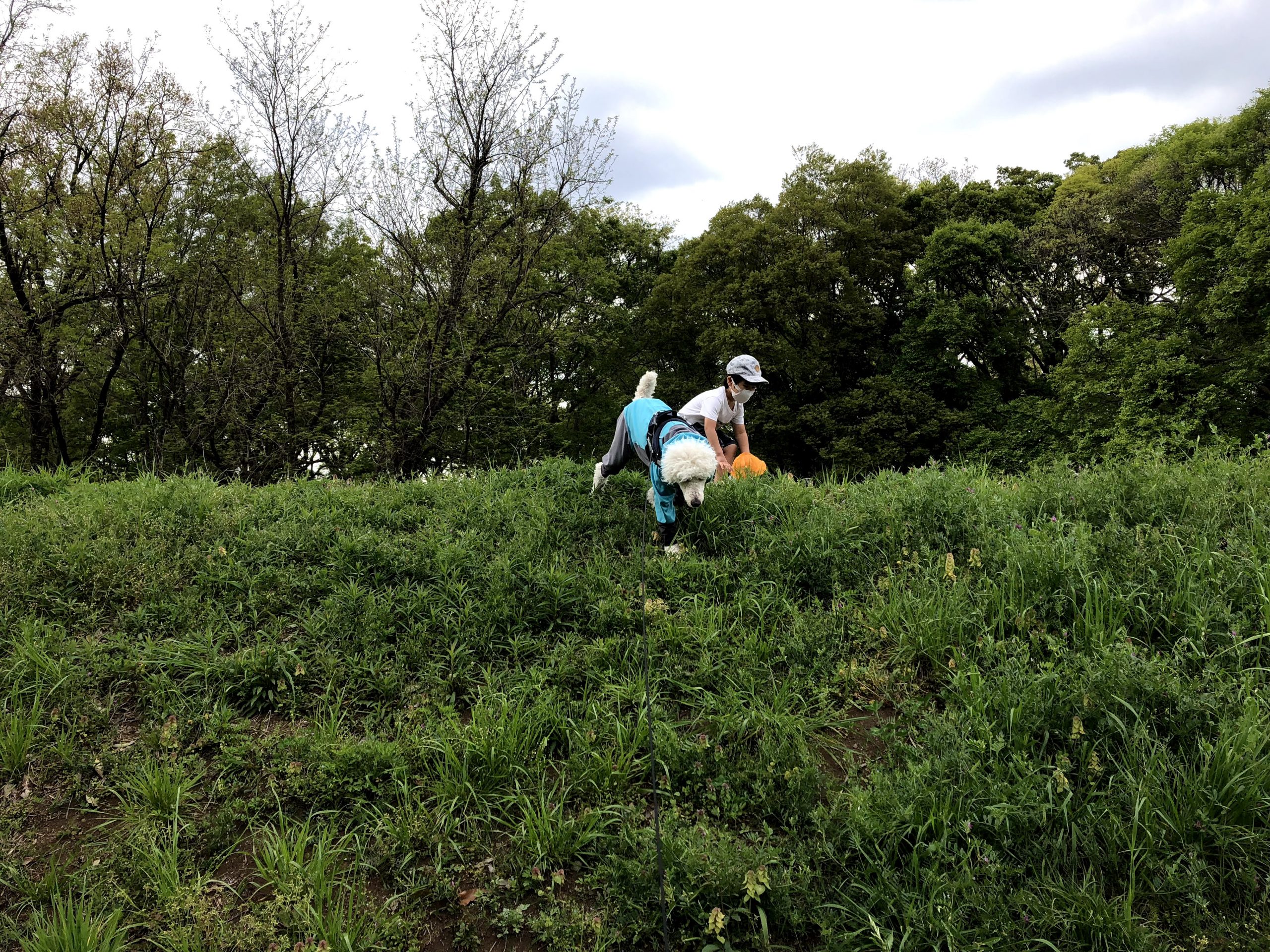 今すぐ公園に行きたくなる！【子供の脳トレで注目の間違い探し】実は虫探しにも同じ効果があるんです