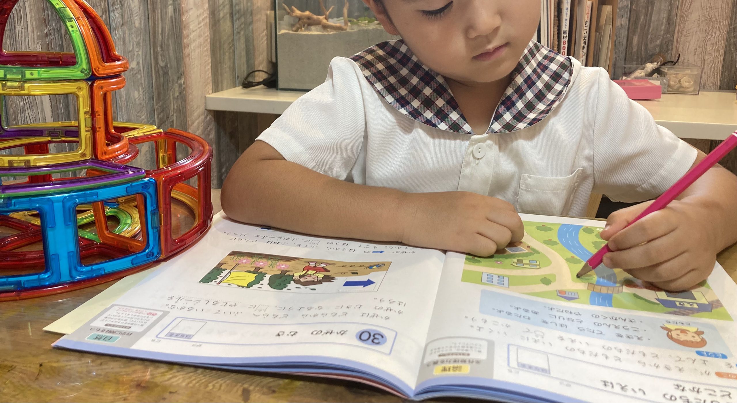 【読み聞かせの効果】幼児期に１日１０冊の絵本読み聞かせをした子は「本好き」なったのか？